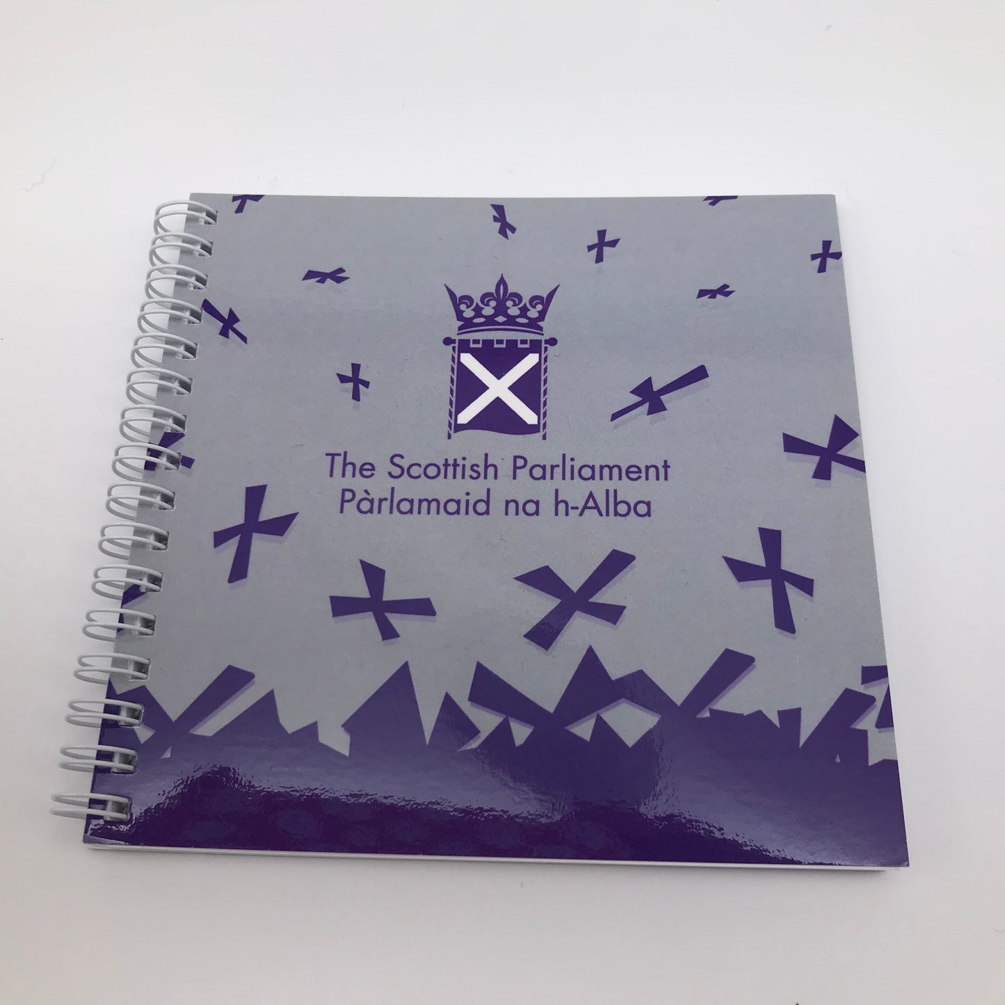 Scottish Parliament notebook