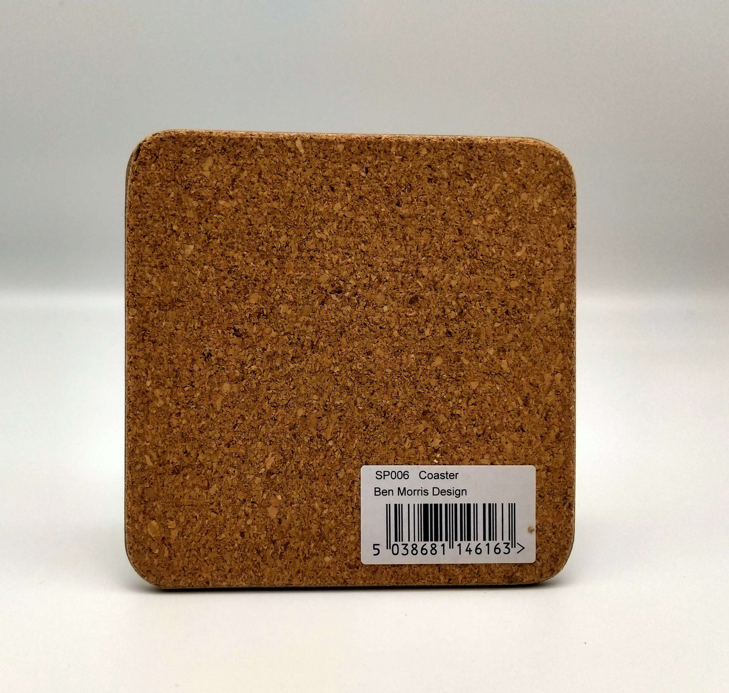 ParliView coaster