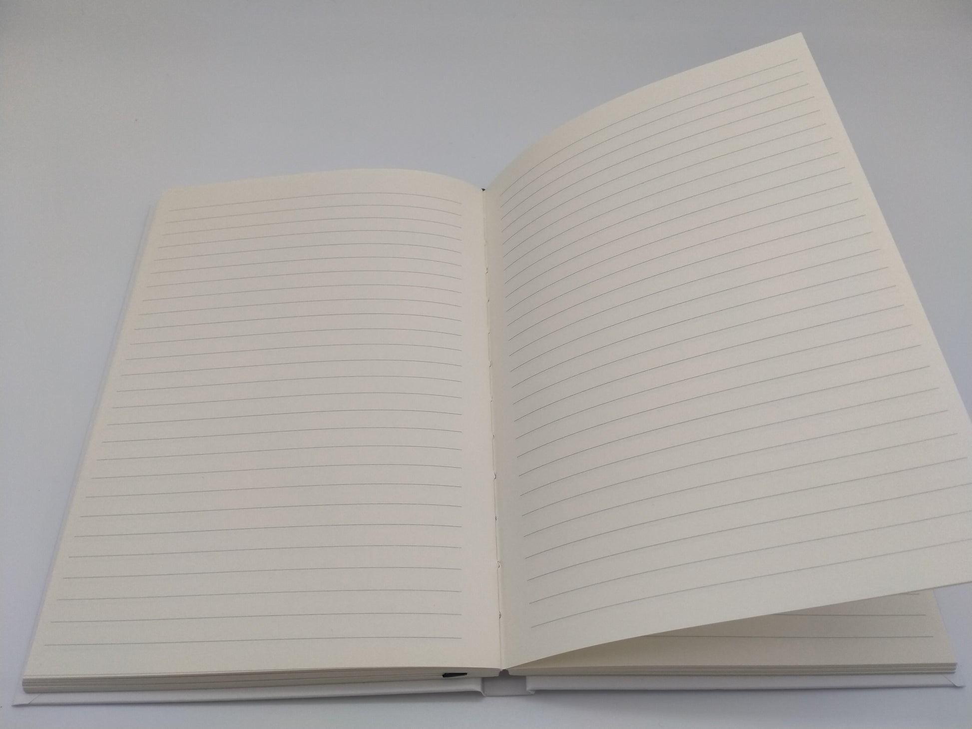 Open notebook showing blank, lined pages. 