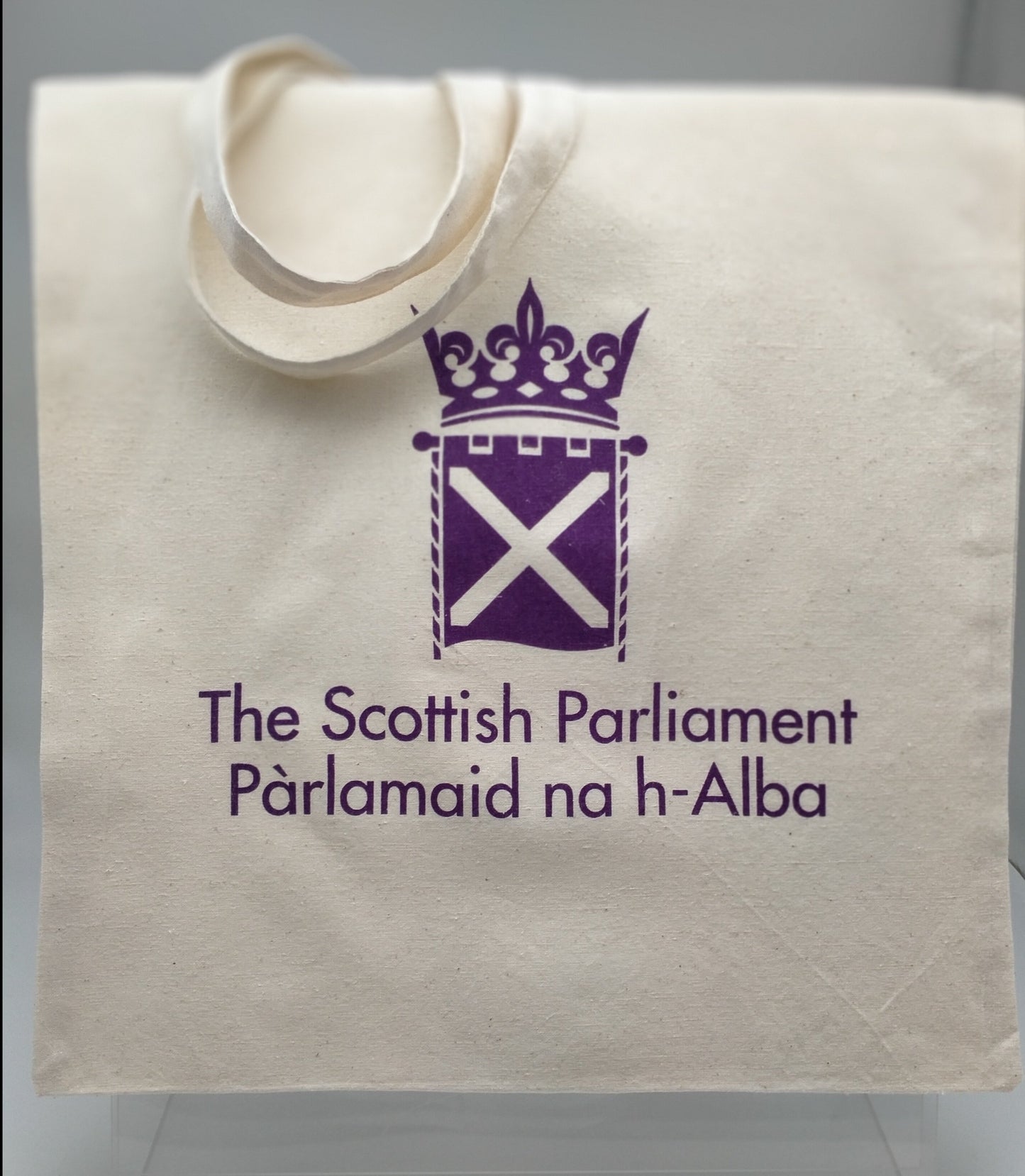 Square bag. Natural cotton colour featuring the parliament symbol printed in purple. Long handles.